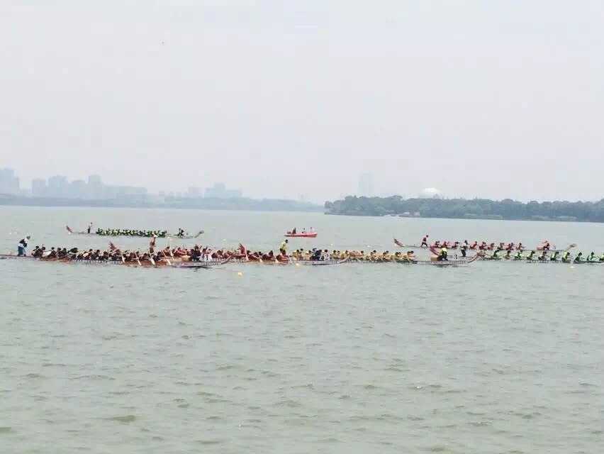 1496195831640395.jpg IMG_5431.JPG